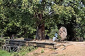 Angkor - Beng Mealea, naga balustrade